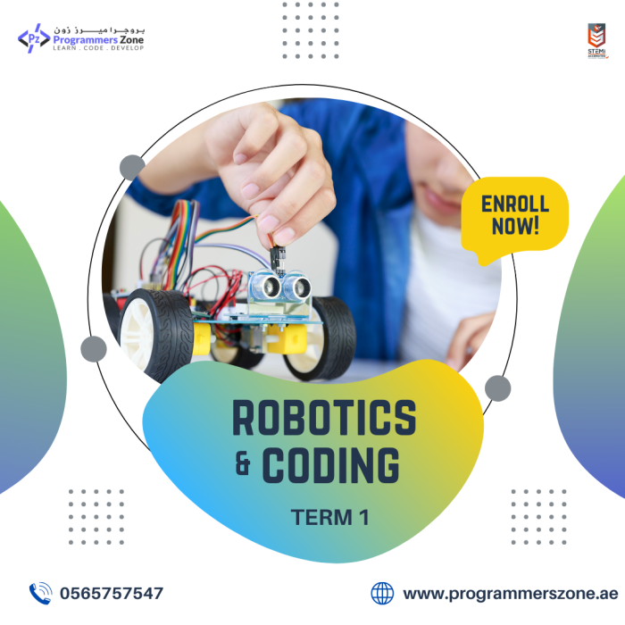 Coding Classes Robotics